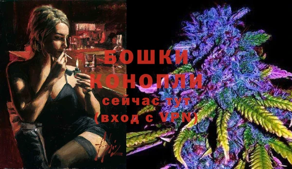 стафф Вязьма